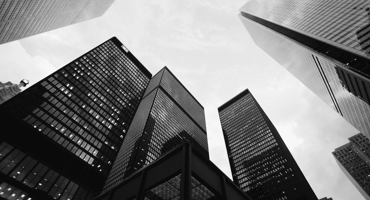 성장을 추구합니다