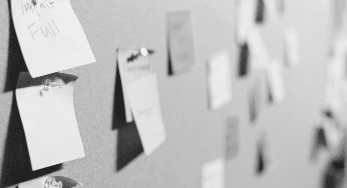 호기심을 잃지 않습니다